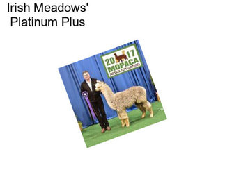 Irish Meadows\' Platinum Plus