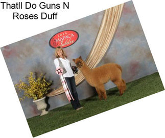 Thatll Do Guns N Roses Duff