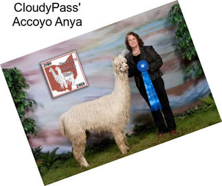 CloudyPass\' Accoyo Anya