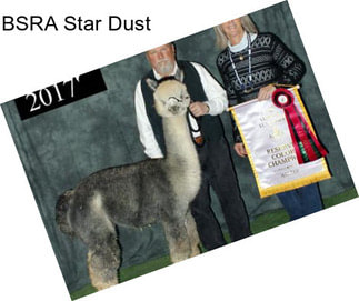 BSRA Star Dust
