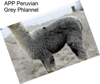APP Peruvian Grey Phlannel