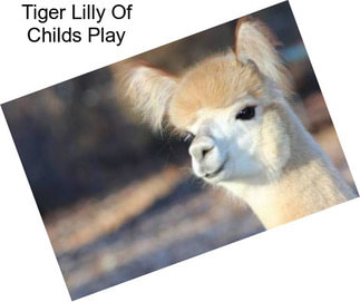 Tiger Lilly Of Childs Play