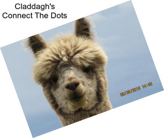 Claddagh\'s Connect The Dots