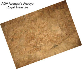 AOV Avenger\'s Accoyo Royal Treasure