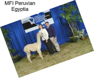 MFI Peruvian Egyptia