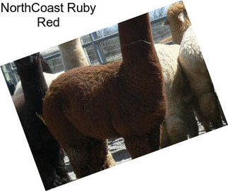NorthCoast Ruby Red