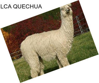 LCA QUECHUA