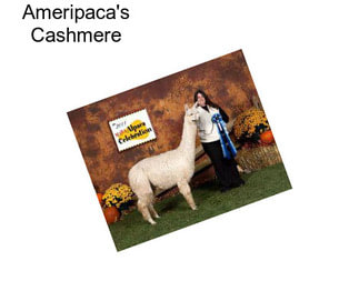 Ameripaca\'s Cashmere