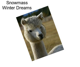 Snowmass Winter Dreams