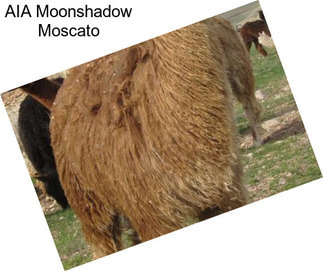 AIA Moonshadow Moscato