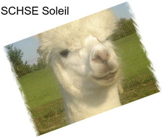 SCHSE Soleil