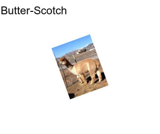 Butter-Scotch