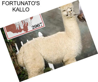 FORTUNATO\'S KALLO