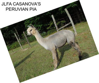 JLFA CASANOVA\'S PERUVIAN PIA