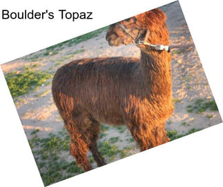 Boulder\'s Topaz