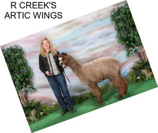 R CREEK\'S ARTIC WINGS