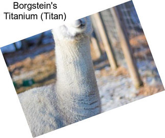 Borgstein\'s Titanium (Titan)