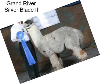 Grand River Silver Blade II