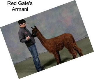 Red Gate\'s Armani