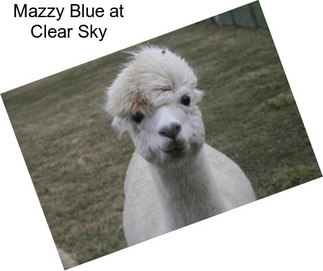 Mazzy Blue at Clear Sky