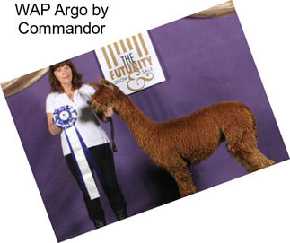 WAP Argo by Commandor