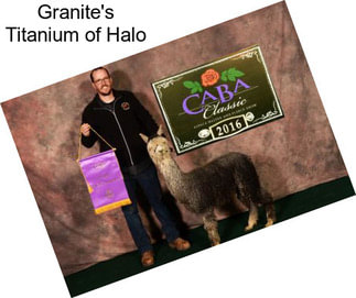 Granite\'s Titanium of Halo