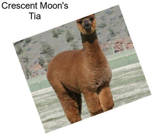 Crescent Moon\'s Tia