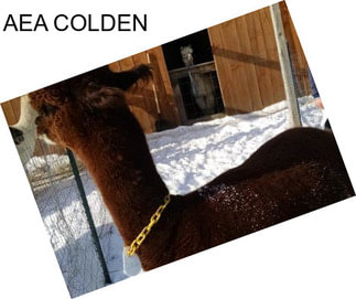 AEA COLDEN