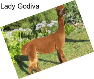 Lady Godiva