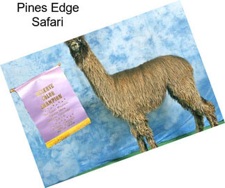 Pines Edge Safari