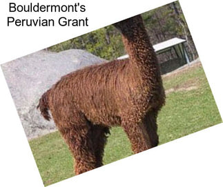 Bouldermont\'s Peruvian Grant