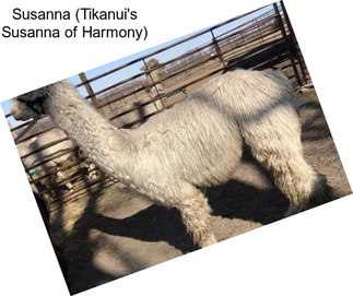 Susanna (Tikanui\'s Susanna of Harmony)