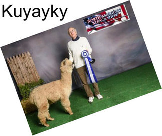 Kuyayky