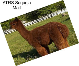 ATRS Sequoia Malt