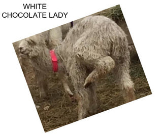 WHITE CHOCOLATE LADY