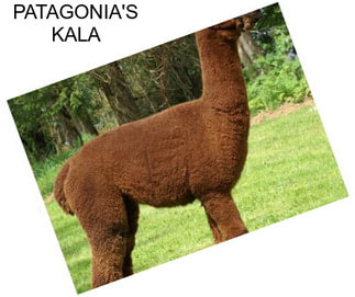 PATAGONIA\'S KALA