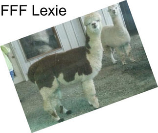 FFF Lexie