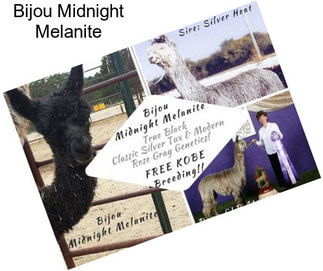 Bijou Midnight Melanite