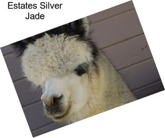 Estates Silver Jade