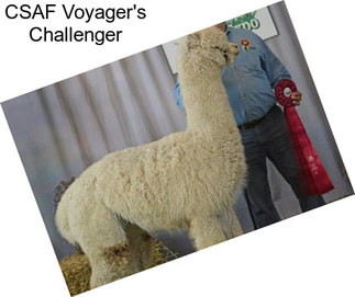 CSAF Voyager\'s Challenger