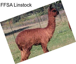 FFSA Linstock