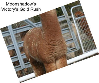 Moonshadow\'s Victory\'s Gold Rush