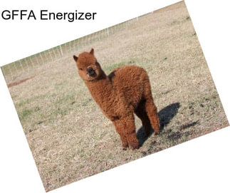 GFFA Energizer