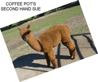 COFFEE POT\'S SECOND HAND SUE