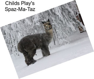 Childs Play\'s Spaz-Ma-Taz