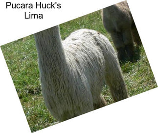 Pucara Huck\'s Lima