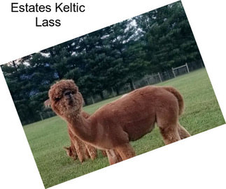 Estates Keltic Lass