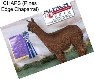 CHAPS (Pines Edge Chaparral)