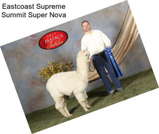 Eastcoast Supreme Summit Super Nova