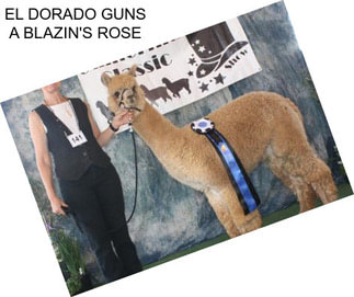 EL DORADO GUNS A BLAZIN\'S ROSE